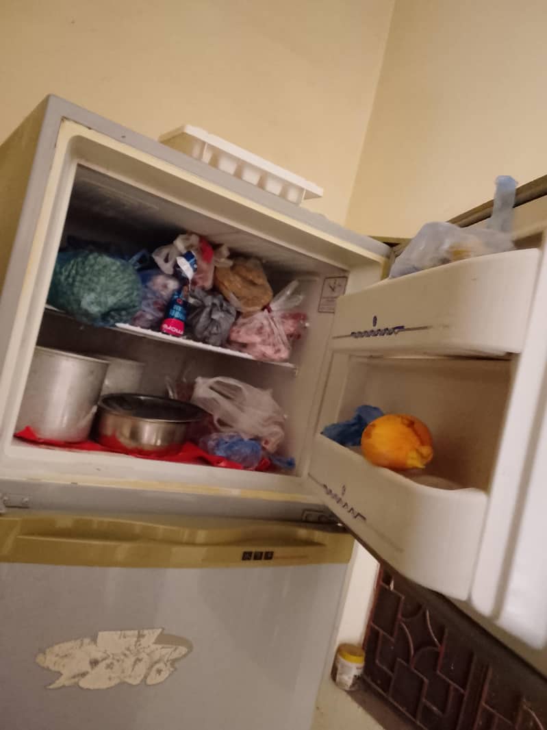 fridge 3