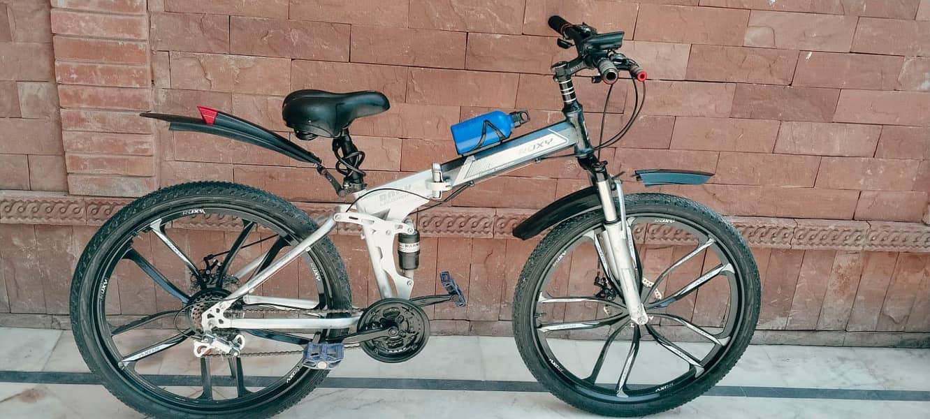 folding Bicycle 1