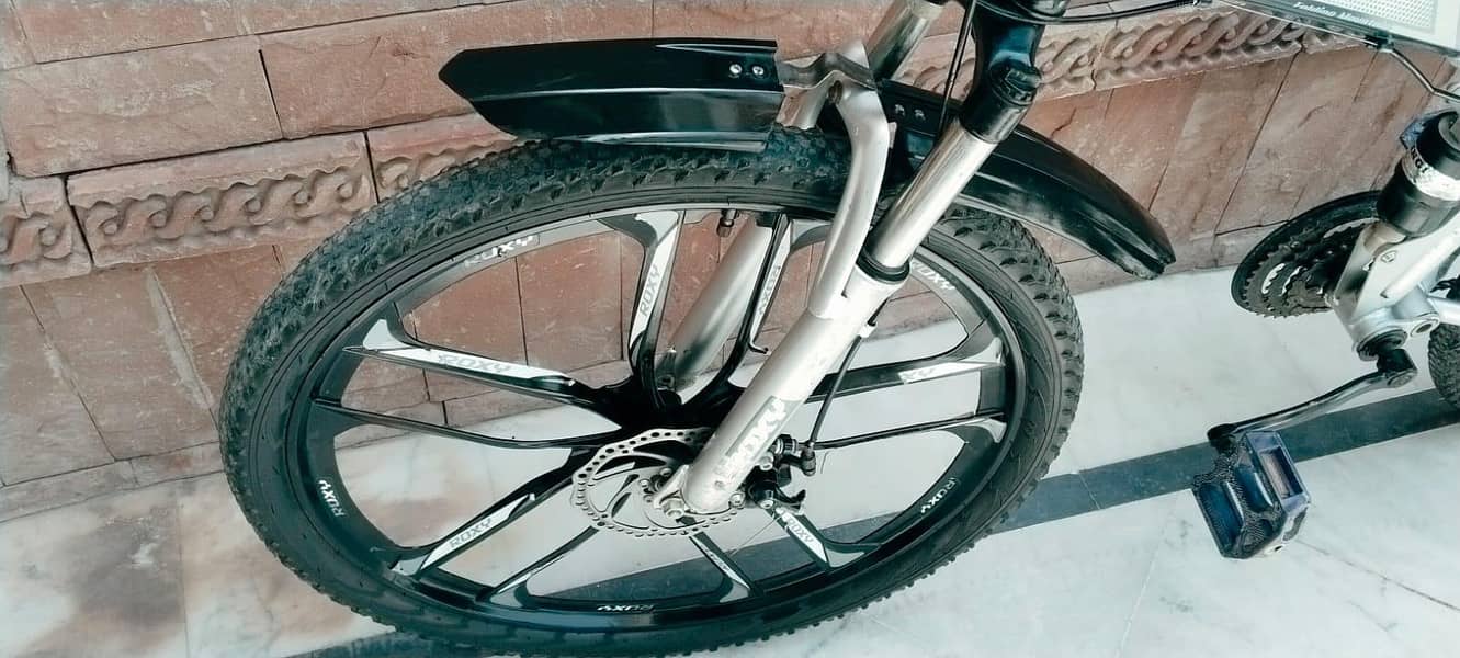 folding Bicycle 3
