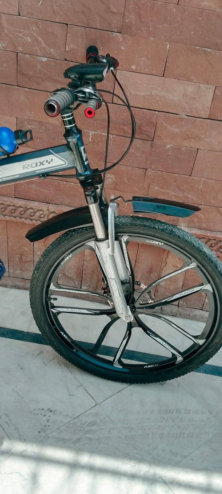 folding Bicycle 6