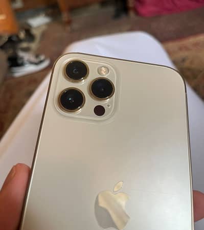 Apple iPhone 12 Pro Max Approved