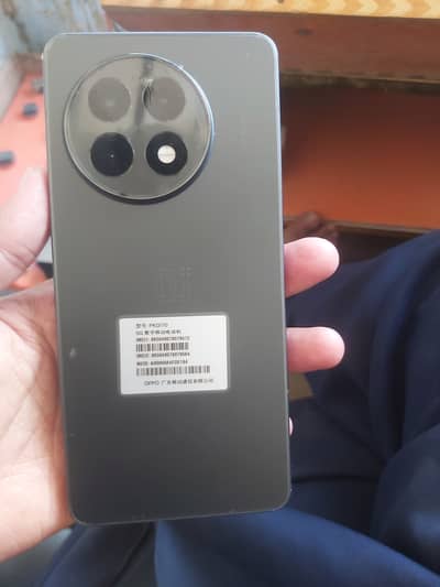 One Plus 13R