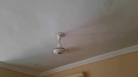 Rayal fan