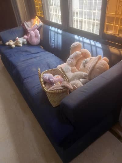 5 Seater (2 + 3 Seater)