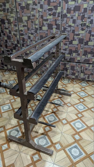 Dumbbell & Plates Rack