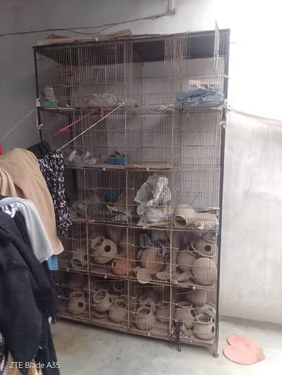 birds cage