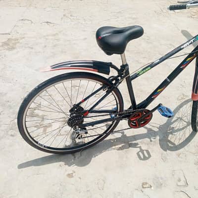 Bicycle China Company 24 Inch