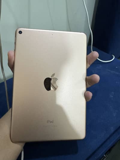 ipad mini 5