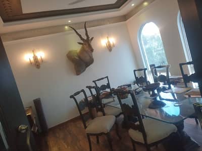 Brand New House DHA Phase 6