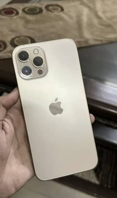 12 pro max dual physical approved