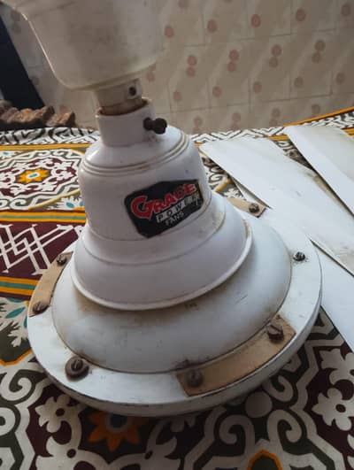 Fan for sell