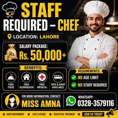 need urgent staff fast food chines continental cheif jobs vecancy
