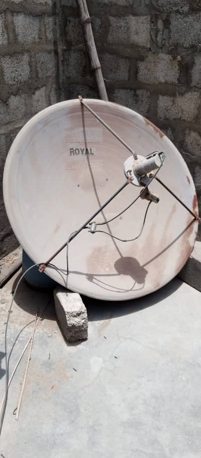 Royal Satellite Dish Antenna
