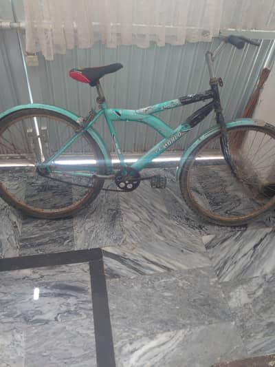 cycle for sale