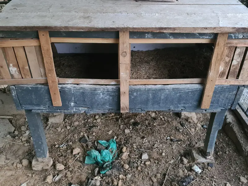 Wooden Cages — photo 3