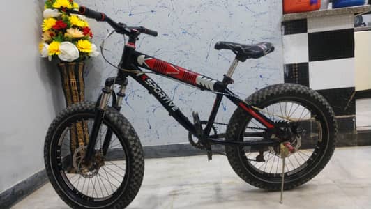 Heavy Giant Bicycle