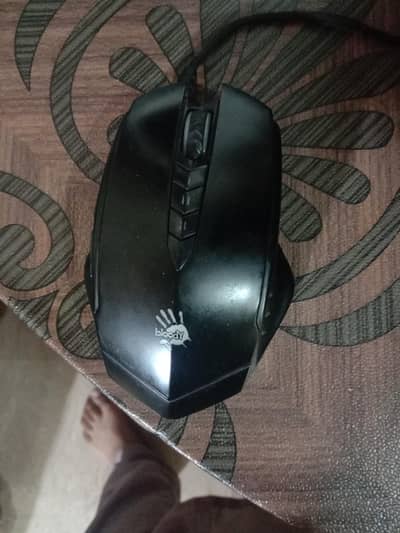 computer mouse