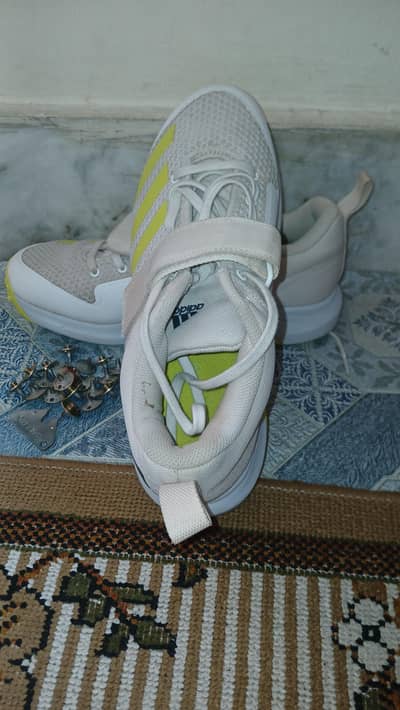 Adidas spikes 2023 model imported from Oman