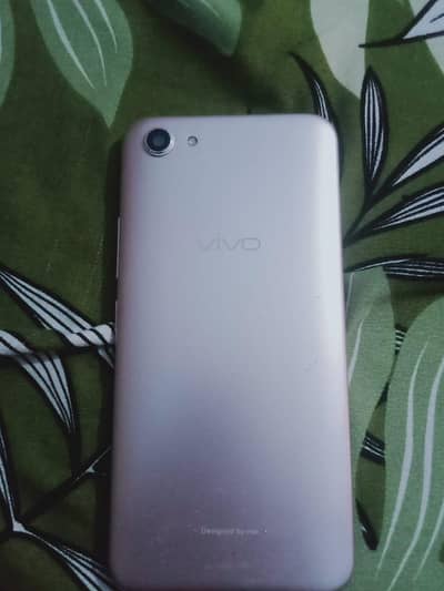 Apple iPhone 6 and android vivo y81s