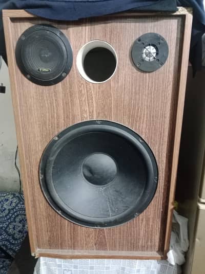 Sony 15 inch speaker buffar