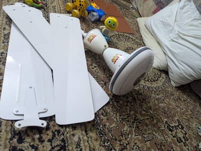 fan for sale