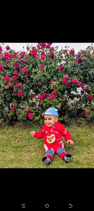 imran rasheed 