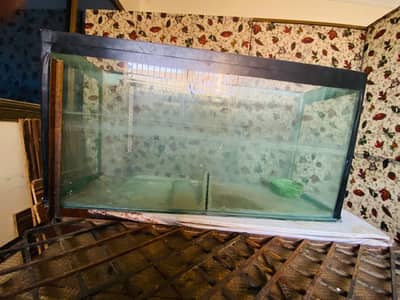 Fish Aquarium