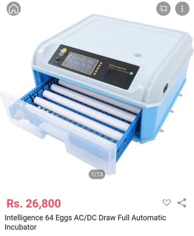 Brand New automatic AC DC 64eggs 03435635876