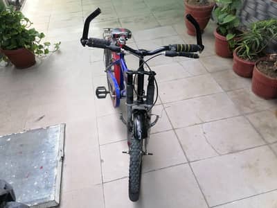 Cycle for Ages 13 to 14