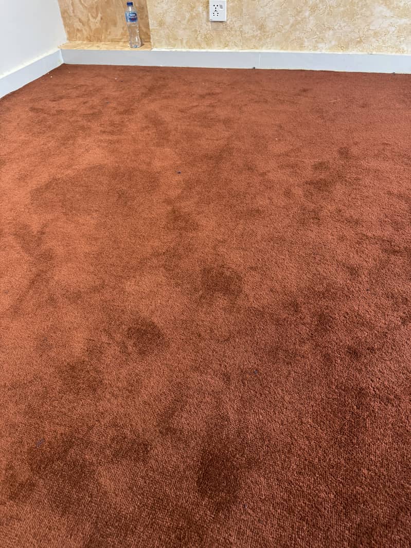 Carpet 0