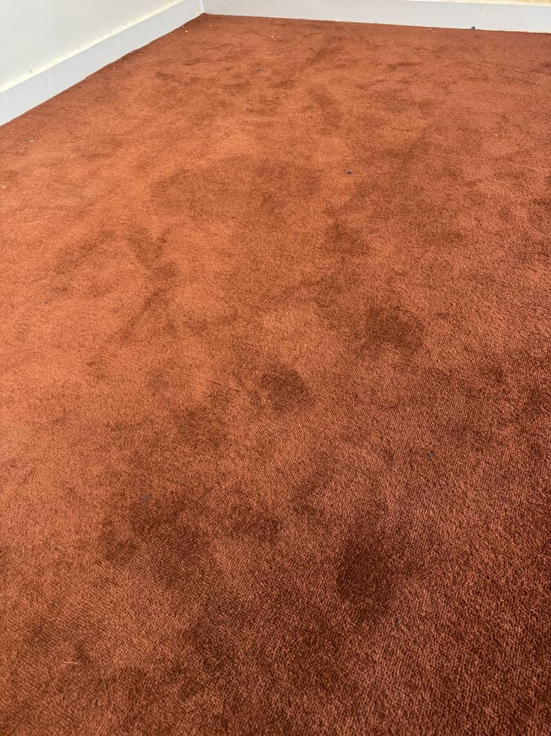 Carpet 1