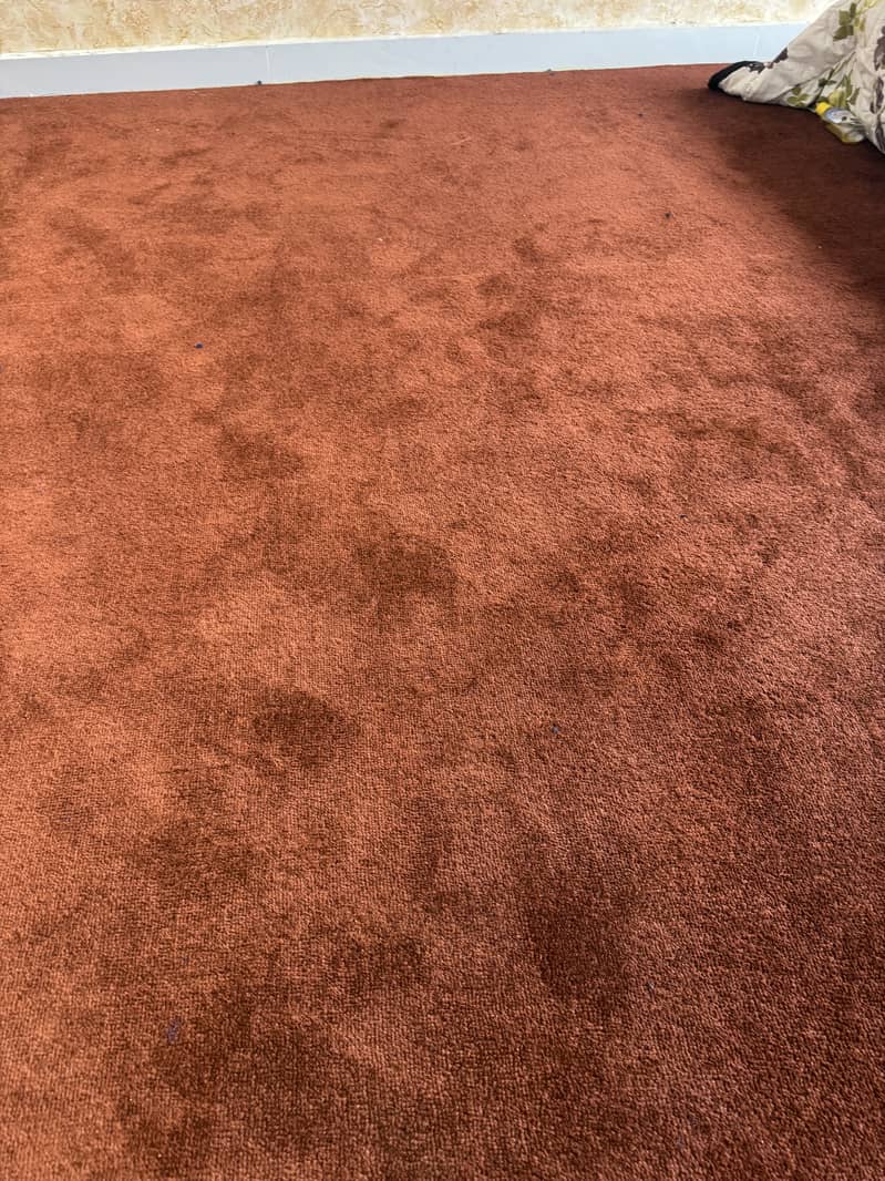 Carpet 2