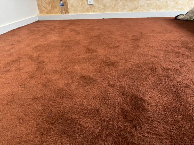 Carpet 3
