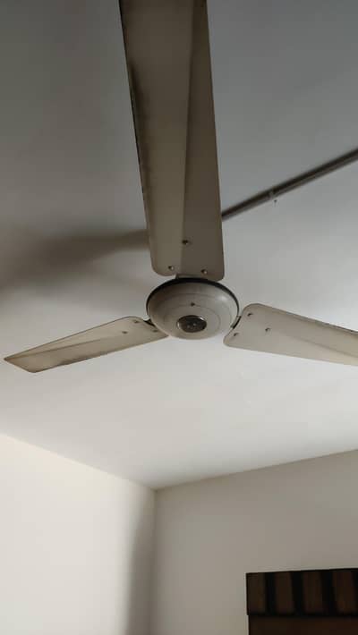 Ceiling Fan 56"