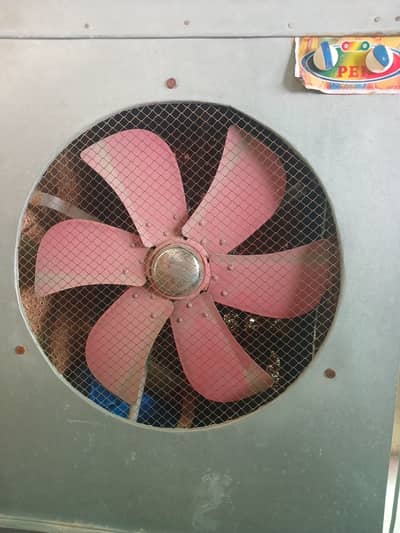 Air Cooler (Lahori)