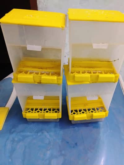 Boxes,pots Lotkiya,,finches feeder,bottles