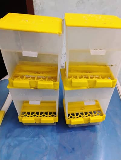 Boxes,pots Lotkiya,,finches feeder,bottles