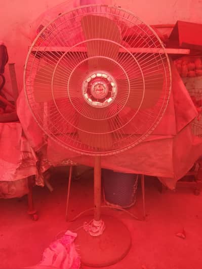 2 pedestal fan