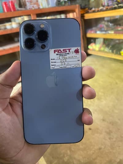 Apple iPhone 13 Pro Max