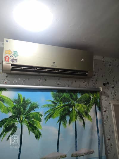 Electrolux