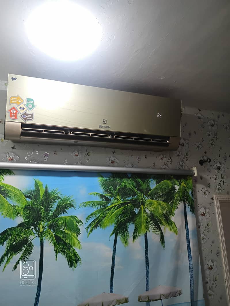 Electrolux 0
