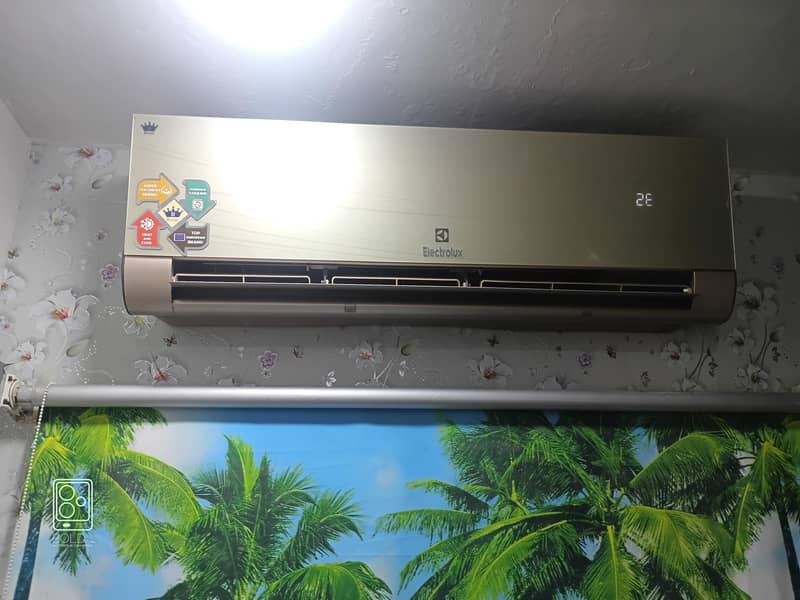 Electrolux 1