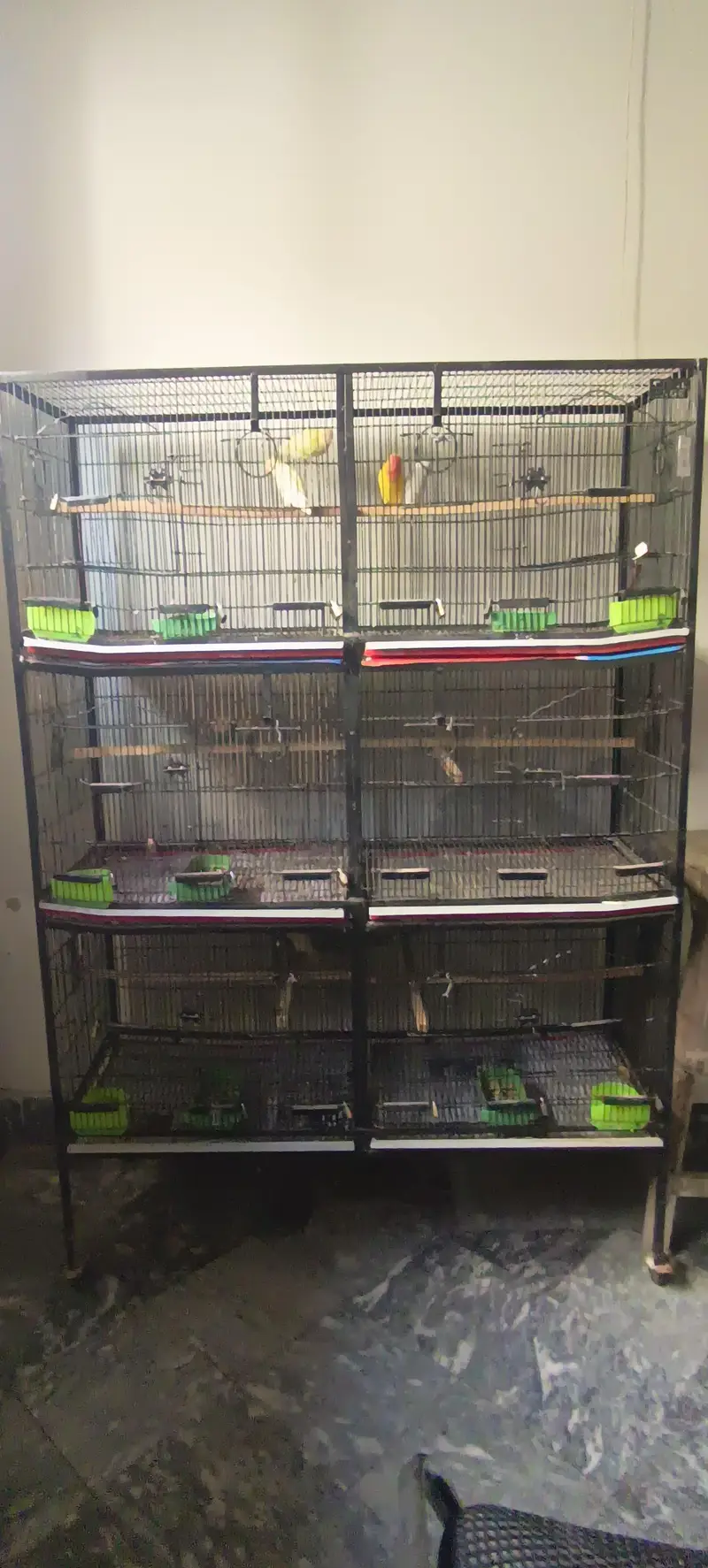 cage for sale — photo 2
