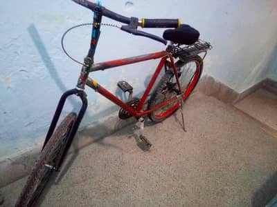 Phoenix cycle