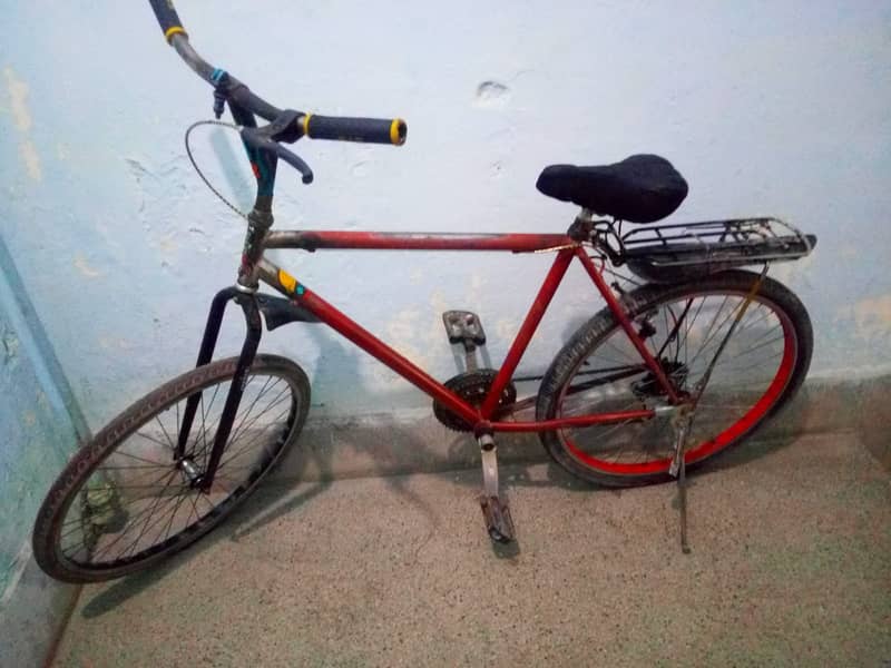 Phoenix cycle 1