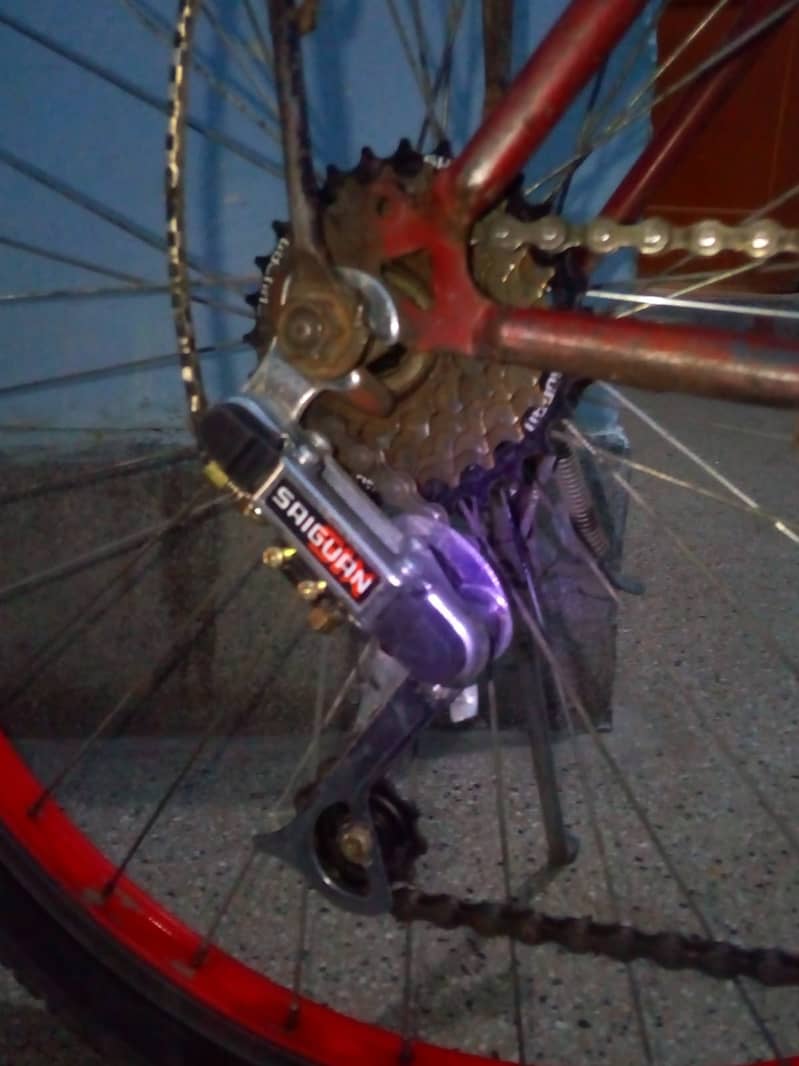 Phoenix cycle 2
