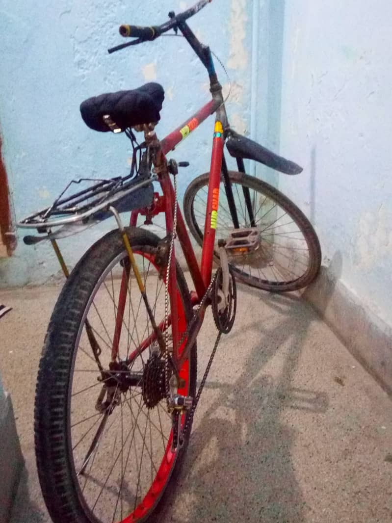 Phoenix cycle 5
