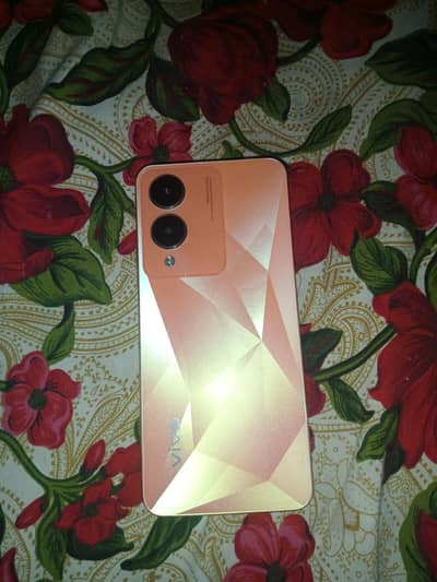 Vivo Y17s