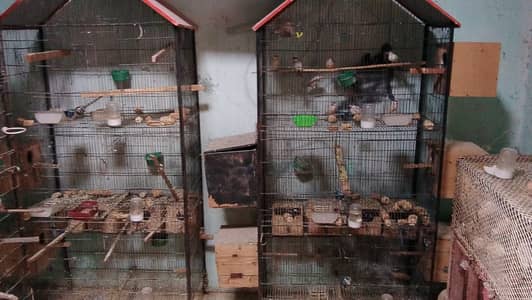 BIRDS CAGES FOR SALE