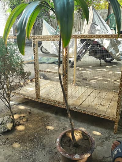 Full Large Size Cage